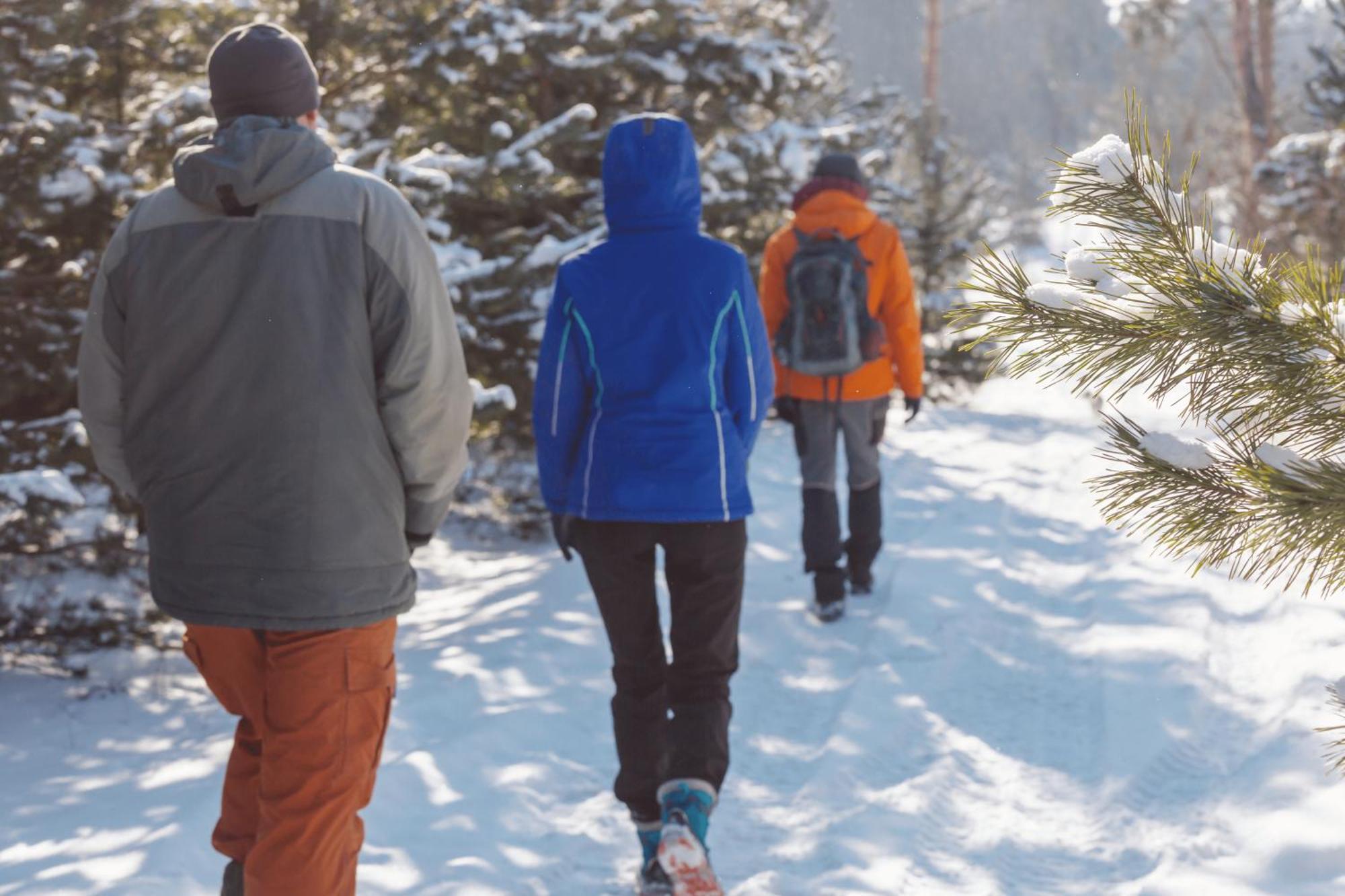 Charmant T3 Avec Vue Montagne Et Parking Privatif Font-Romeu-Odeillo-Via المظهر الخارجي الصورة