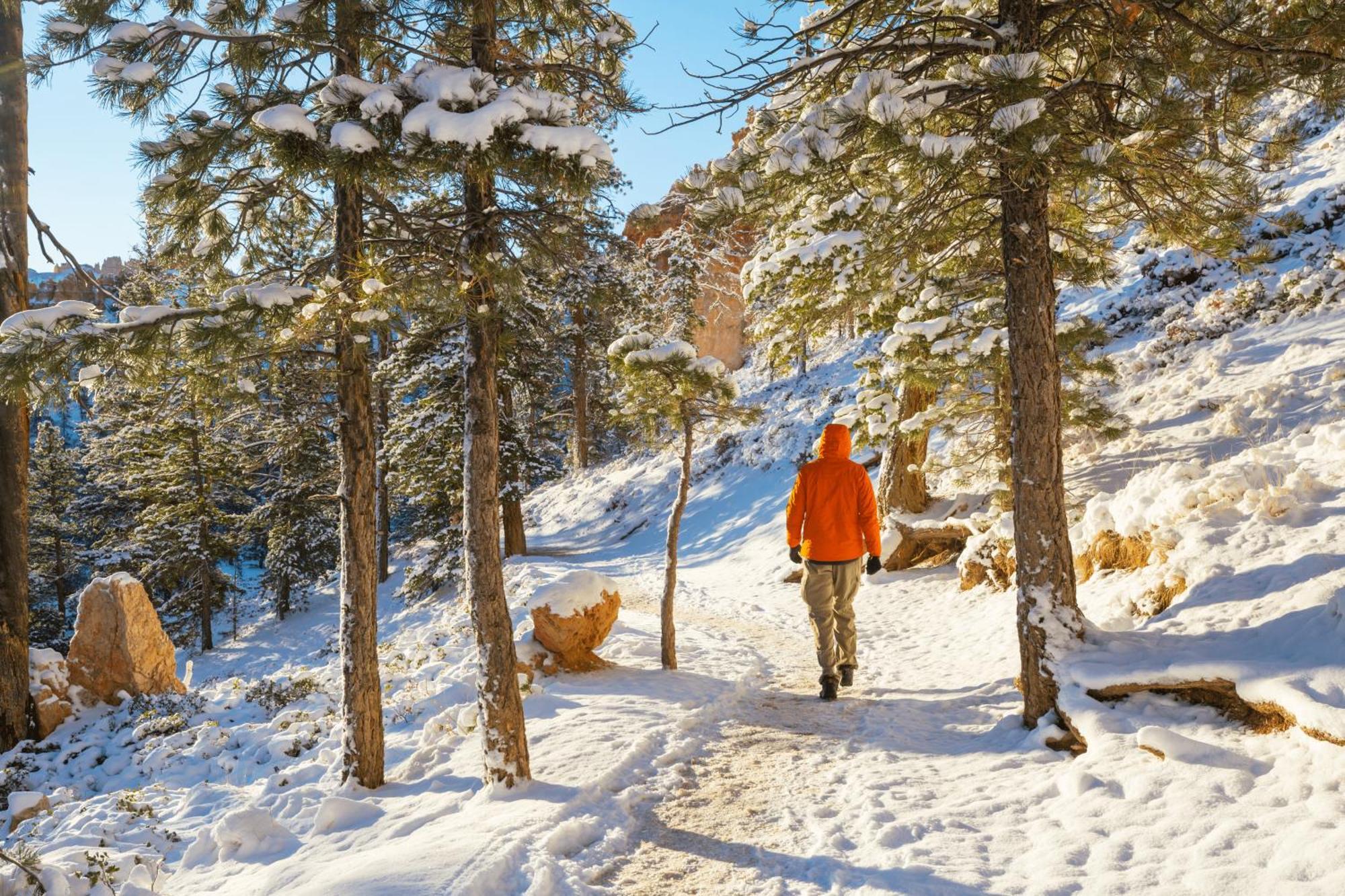 Charmant T3 Avec Vue Montagne Et Parking Privatif Font-Romeu-Odeillo-Via المظهر الخارجي الصورة